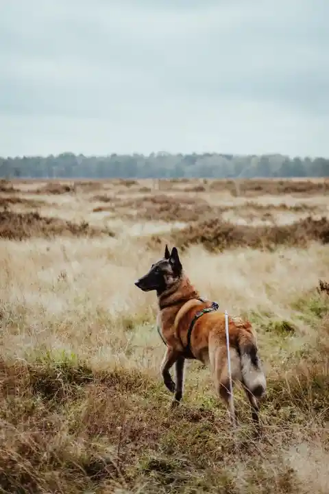 Uncontrollable Speed