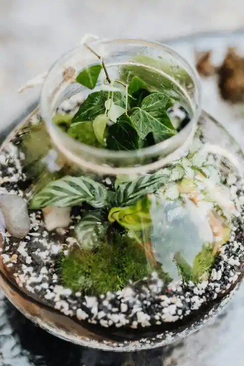 The Delight of Sharing the Small Stuff