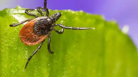 Coming Up With A Plan