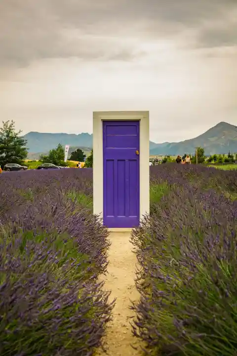 7. Purple Door Standoff