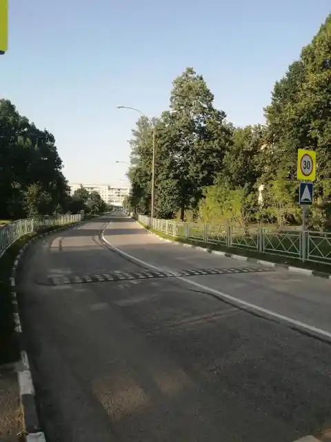 17. Micromanagement and Speed Bumps