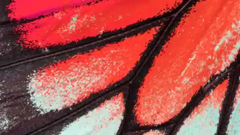 Calling A Professional