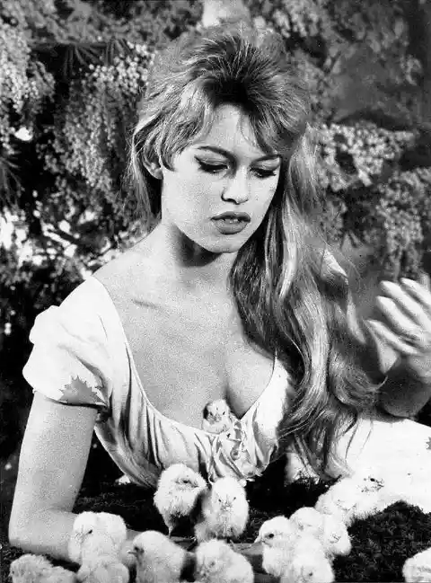 Chick flick! Brigitte Bardot with some lucky baby chickens in 1956