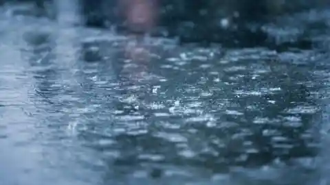 The Struggle Continues