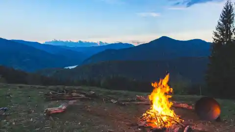 He Was Living In The Woods