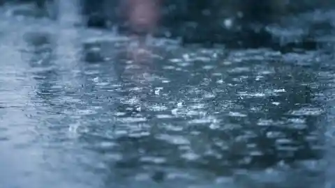 The Struggle Continues