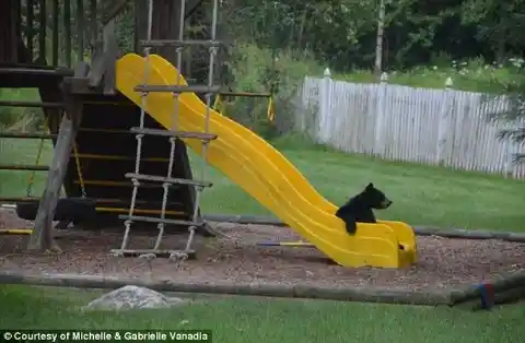 Where did everybody go?