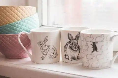 26. Mystery Of Dog Mugs