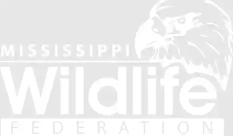 Mississippi Wildlife Federation 