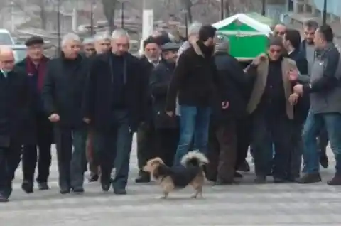 Wouldn't Leave His Side 