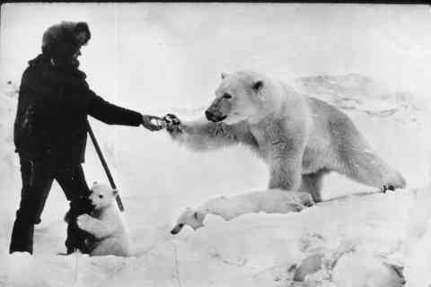 Soviet soldiers feeding polar bears in the 1950s