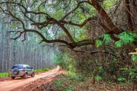 The Race To The Lake