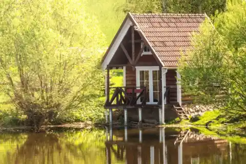 A Cabin In The Wilderness