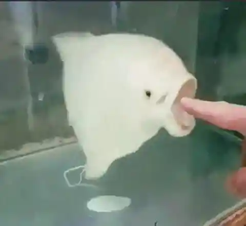 Oh no oh no oh NOOOO