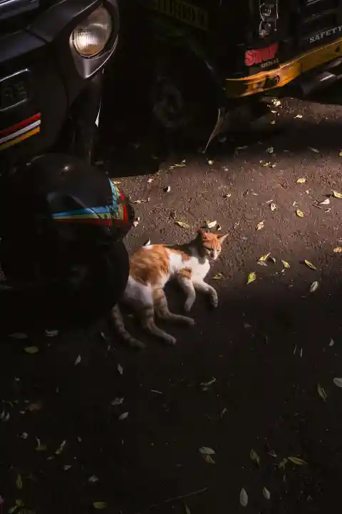 30. Crushed Innocence