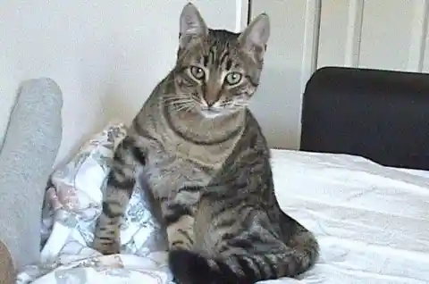 The Start Of Something New