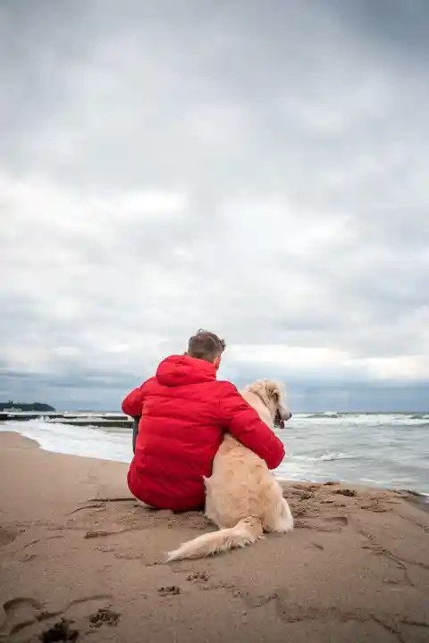 The Essence of Being a Dog