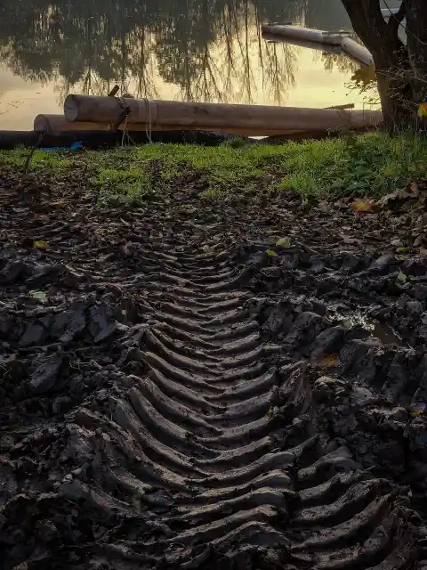 19. Essence of Curbs