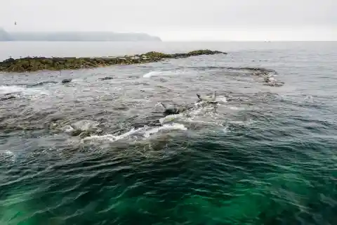 Placing Him At The Scene 