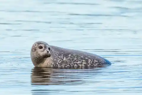 23. Hunting In The Dark