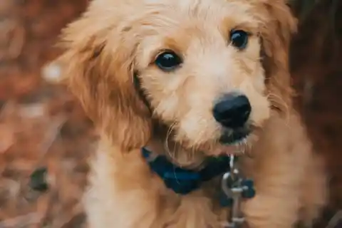 Looking In Other Places