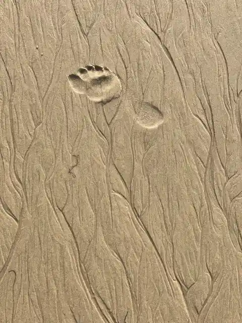 6. Unidentified Impossible Footprints