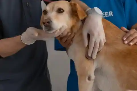 Surprising Development